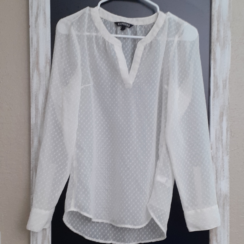 Express Sheer Blouse